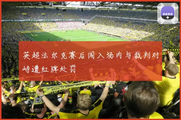 英超法尔克赛后闯入场内与裁判对峙遭红牌处罚